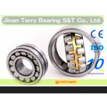 The High Quality Low Noise Cylindrical Roller Bearings (NN3006)